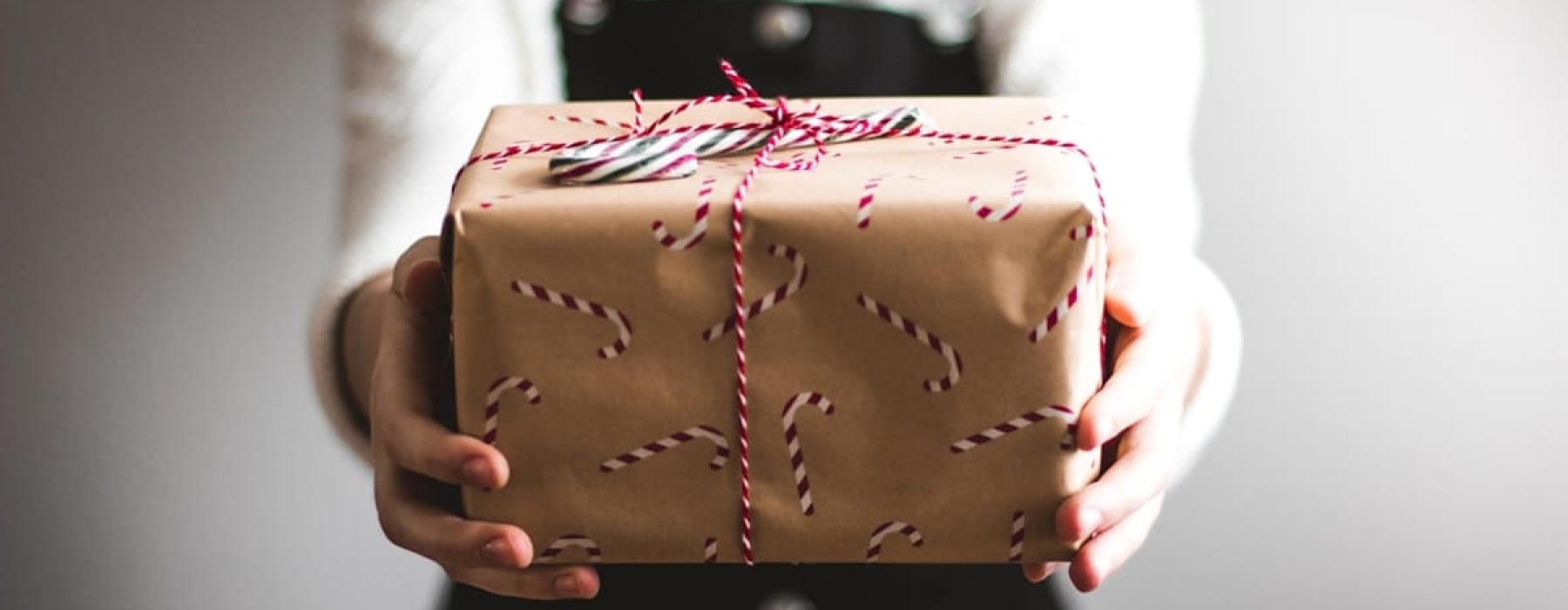 Holiday Gift Guide | Person holding a holiday present