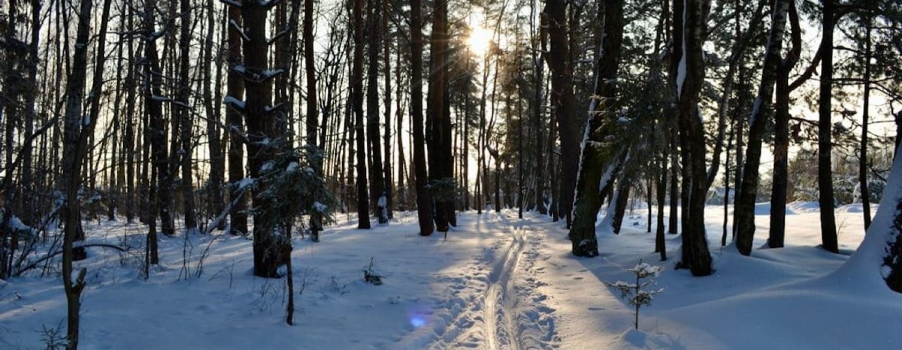 Top Winter Activities in Austin for Families and Solo Adventurers